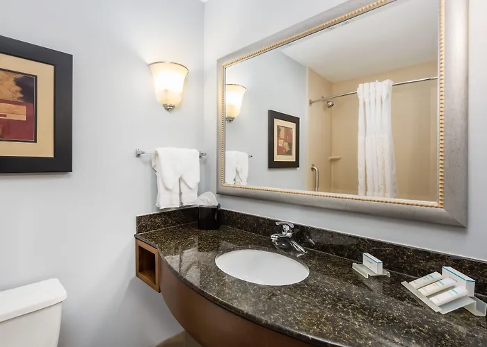 Hotel Hilton Garden St. Louis Shiloh/o'fallon Il 3*